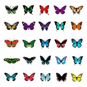 Meet your Posher, Kambree